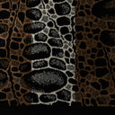 Carrara Ocean Modern Terry Cloth Hand Towel