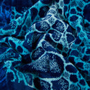Carrara Ocean Modern Terry Beach Towel